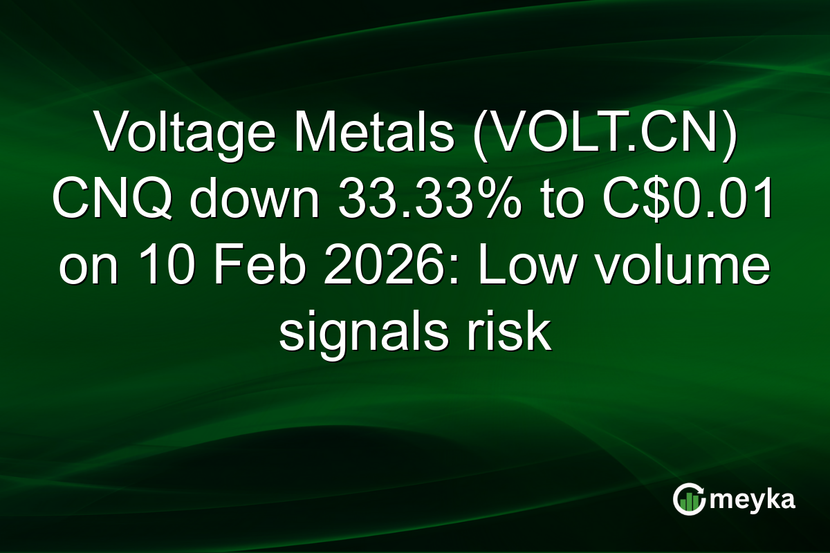 Voltage Metals (VOLT.CN) CNQ down 33.33% to C$0.01 on 10 Feb 2026: Low volume signals risk