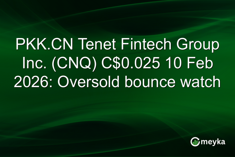 PKK.CN Tenet Fintech Group Inc. (CNQ) C$0.025 10 Feb 2026: Oversold bounce watch