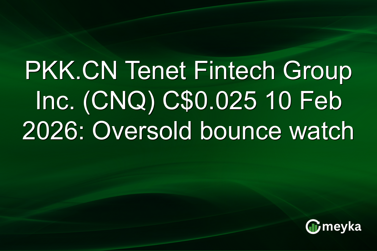 PKK.CN Tenet Fintech Group Inc. (CNQ) C$0.025 10 Feb 2026: Oversold bounce watch