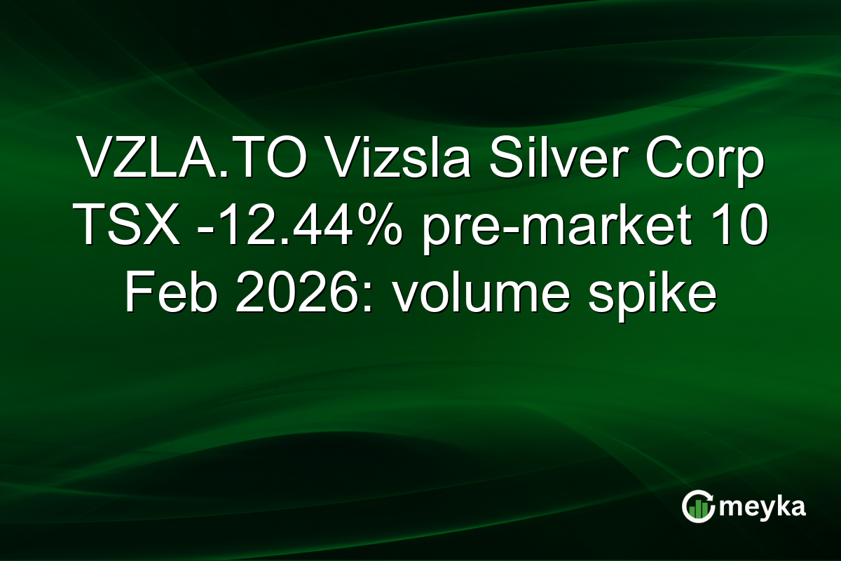 VZLA.TO Vizsla Silver Corp TSX -12.44% pre-market 10 Feb 2026: volume spike