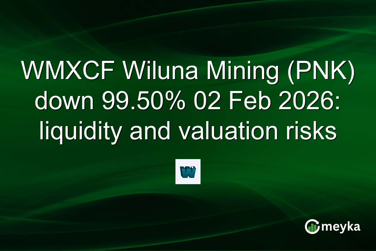 WMXCF Wiluna Mining (PNK) down 99.50% 02 Feb 2026: liquidity and valuation risks