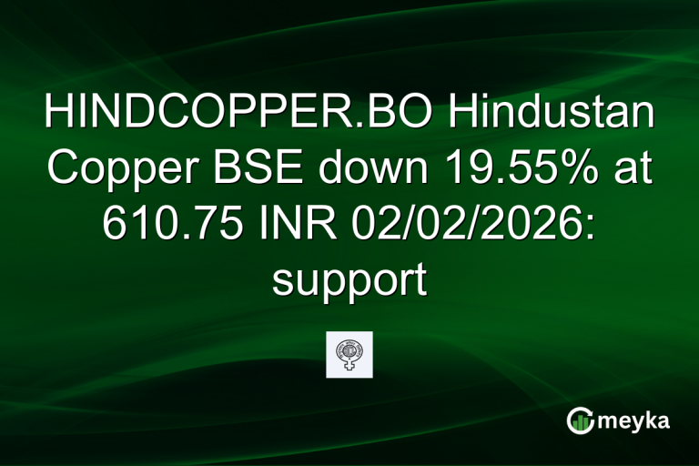 HINDCOPPER.BO Hindustan Copper BSE down 19.55% at 610.75 INR 02/02/2026: support
