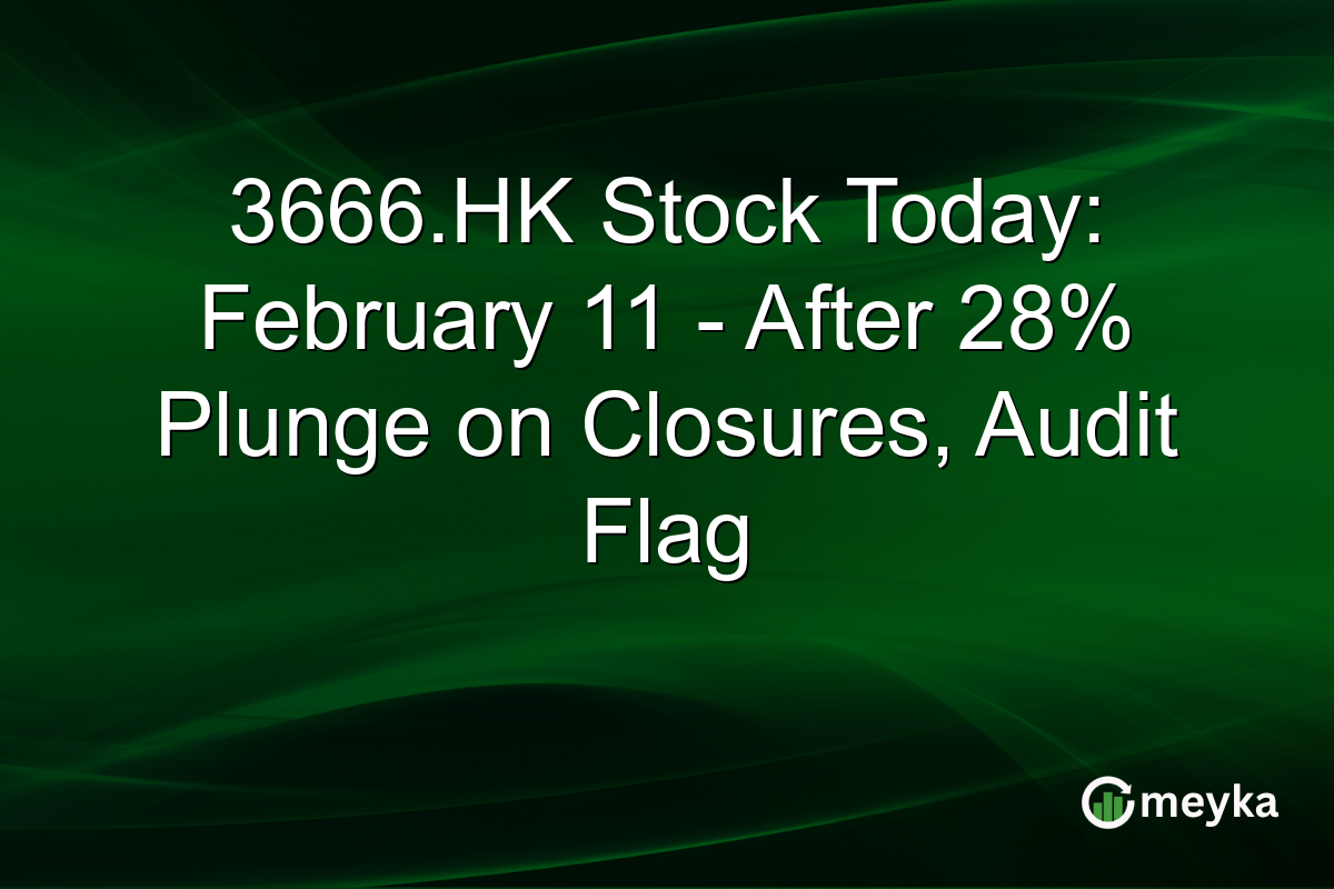 3666.HK Stock Today: February 11 - After 28% Plunge on Closures, Audit Flag