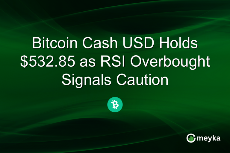 Bitcoin Cash USD Holds $532.85 as RSI Overbought Signals Caution