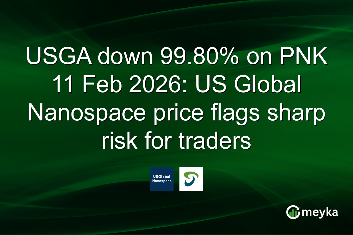 USGA down 99.80% on PNK 11 Feb 2026: US Global Nanospace price flags sharp risk for traders