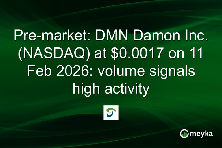 Pre-market: DMN Damon Inc. (NASDAQ) at $0.0017 on 11 Feb 2026: volume signals high activity