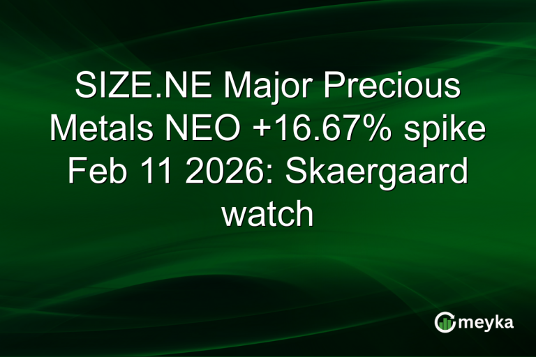 SIZE.NE Major Precious Metals NEO +16.67% spike Feb 11 2026: Skaergaard watch