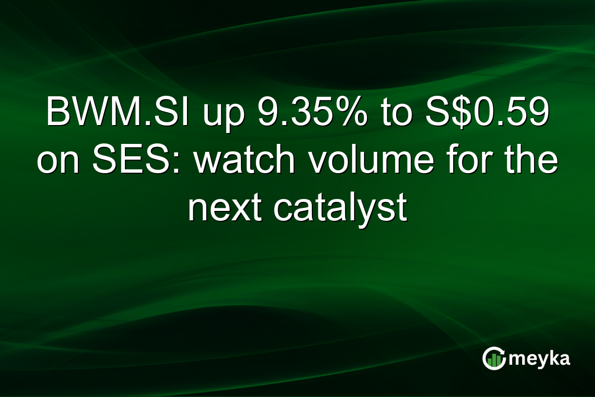 BWM.SI up 9.35% to S$0.59 on SES: watch volume for the next catalyst