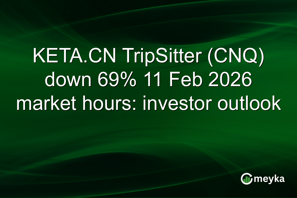 KETA.CN TripSitter (CNQ) down 69% 11 Feb 2026 market hours: investor outlook
