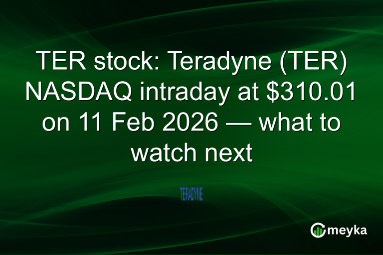 TER stock: Teradyne (TER) NASDAQ intraday at $310.01 on 11 Feb 2026 — what to watch next
