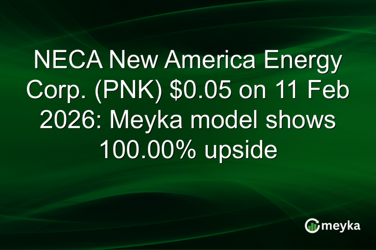 NECA New America Energy Corp. (PNK) $0.05 on 11 Feb 2026: Meyka model shows 100.00% upside