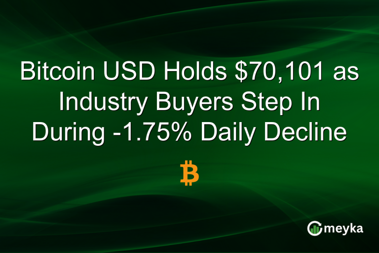 Bitcoin USD Holds $70,101 as Industry Buyers Step In During -1.75% Daily Decline