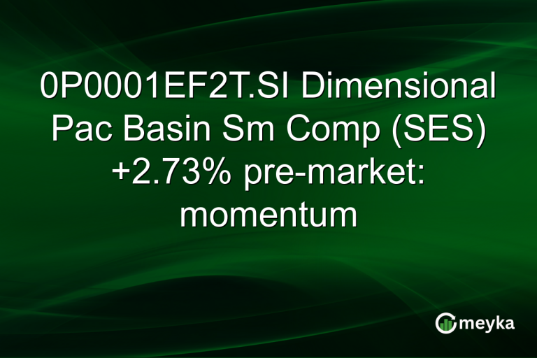 0P0001EF2T.SI Dimensional Pac Basin Sm Comp (SES) +2.73% pre-market: momentum