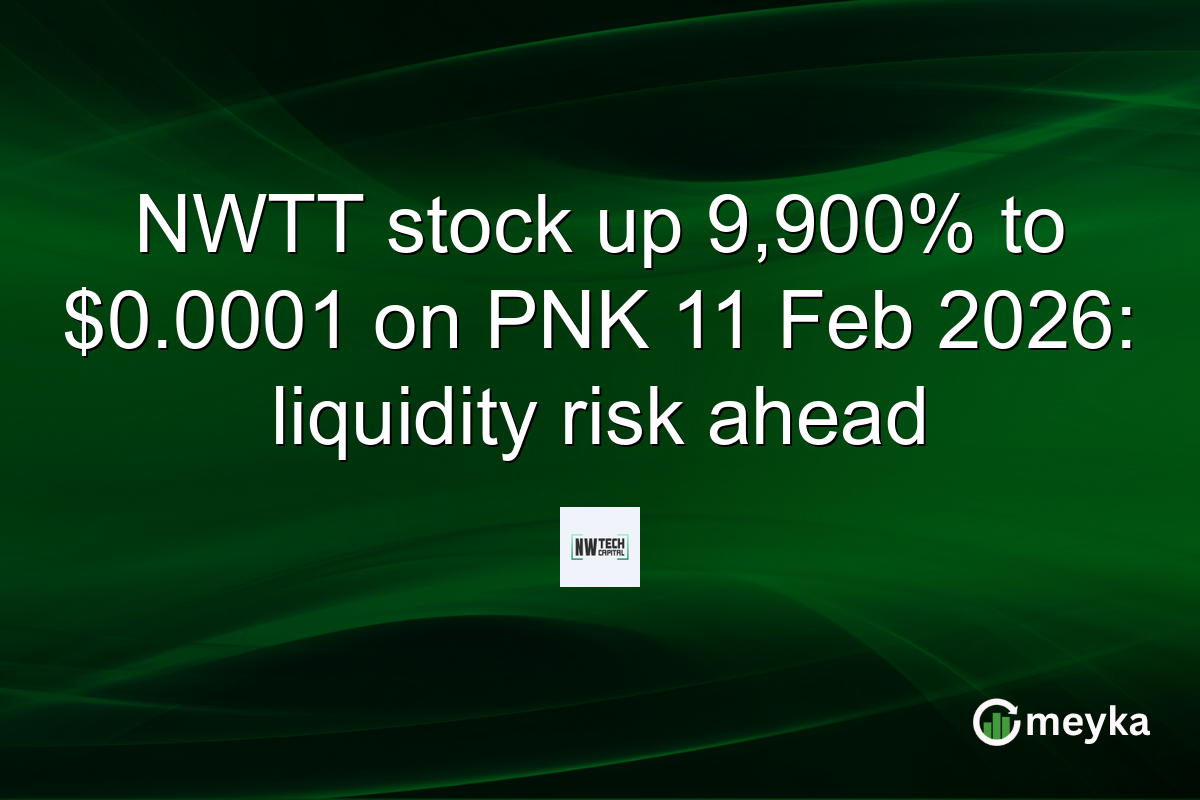 NWTT stock up 9,900% to $0.0001 on PNK 11 Feb 2026: liquidity risk ahead