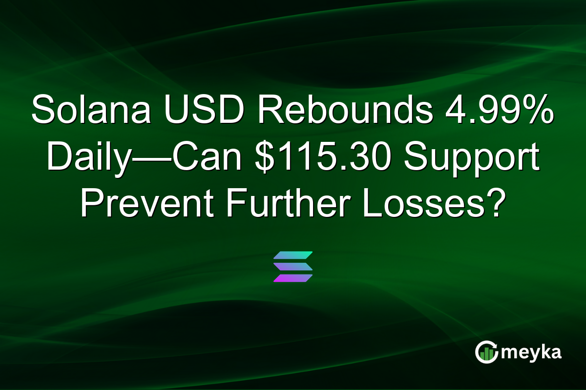 Solana USD Rebounds 4.99% Daily—Can $115.30 Support Prevent Further Losses?