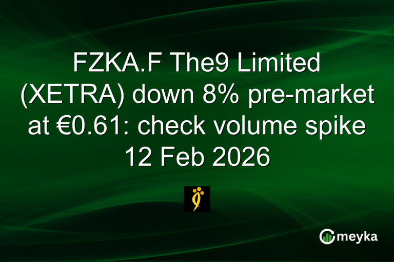 FZKA.F The9 Limited (XETRA) down 8% pre-market at €0.61: check volume spike 12 Feb 2026