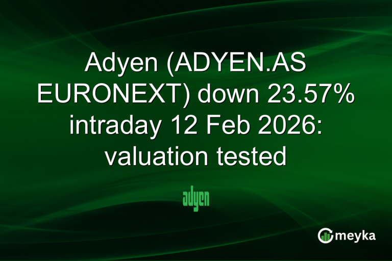 Adyen (ADYEN.AS EURONEXT) down 23.57% intraday 12 Feb 2026: valuation tested
