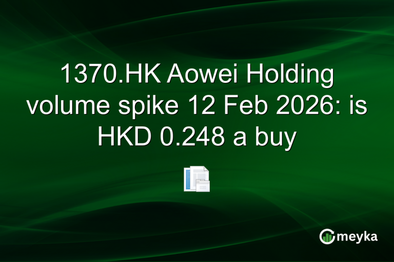 1370.HK Aowei Holding volume spike 12 Feb 2026: is HKD 0.248 a buy