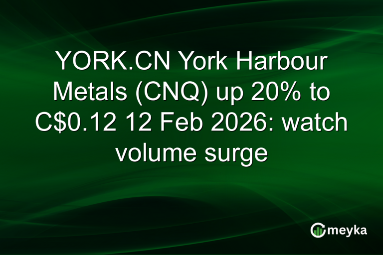 YORK.CN York Harbour Metals (CNQ) up 20% to C$0.12 12 Feb 2026: watch volume surge