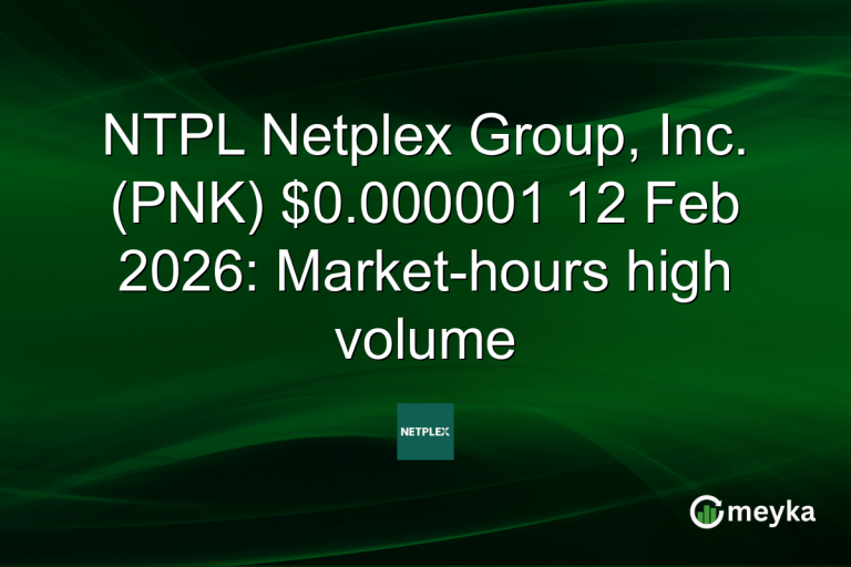 NTPL Netplex Group, Inc. (PNK) $0.000001 12 Feb 2026: Market-hours high volume