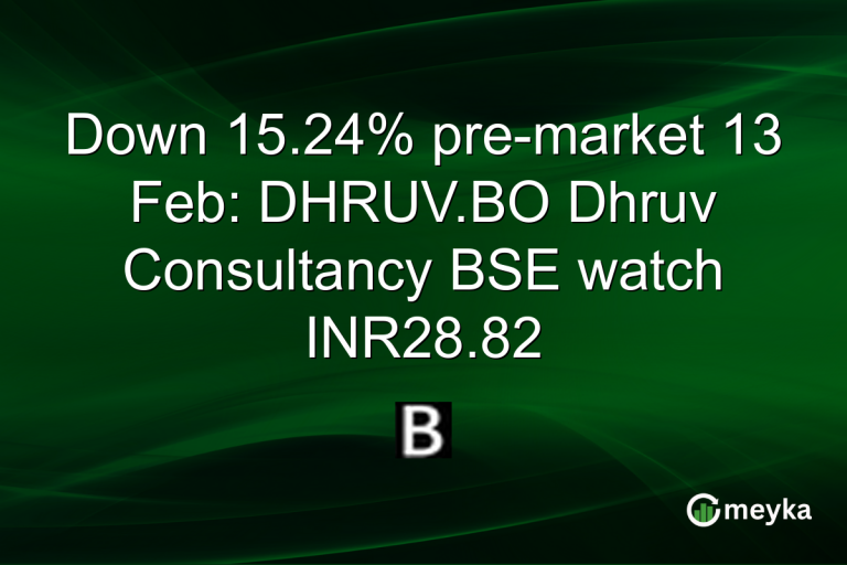 Down 15.24% pre-market 13 Feb: DHRUV.BO Dhruv Consultancy BSE watch INR28.82