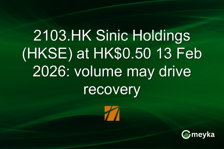 2103.HK Sinic Holdings (HKSE) at HK$0.50 13 Feb 2026: volume may drive recovery