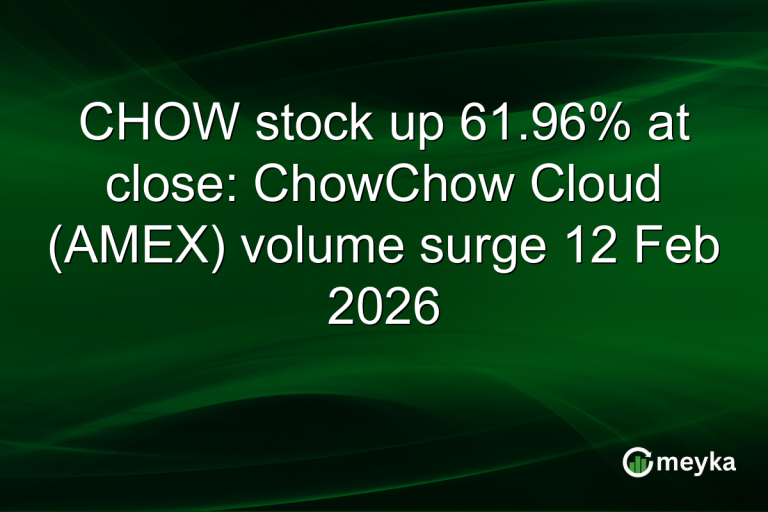 CHOW stock up 61.96% at close: ChowChow Cloud (AMEX) volume surge 12 Feb 2026