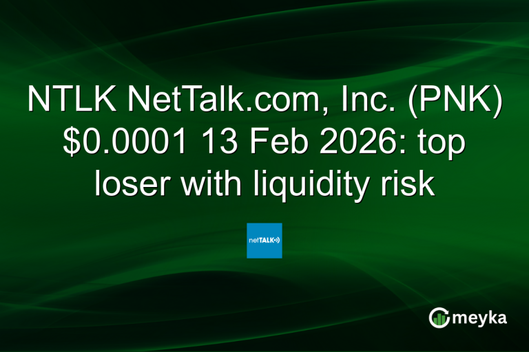 NTLK NetTalk.com, Inc. (PNK) $0.0001 13 Feb 2026: top loser with liquidity risk
