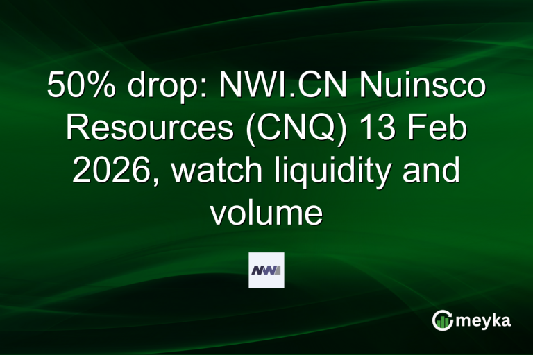 50% drop: NWI.CN Nuinsco Resources (CNQ) 13 Feb 2026, watch liquidity and volume