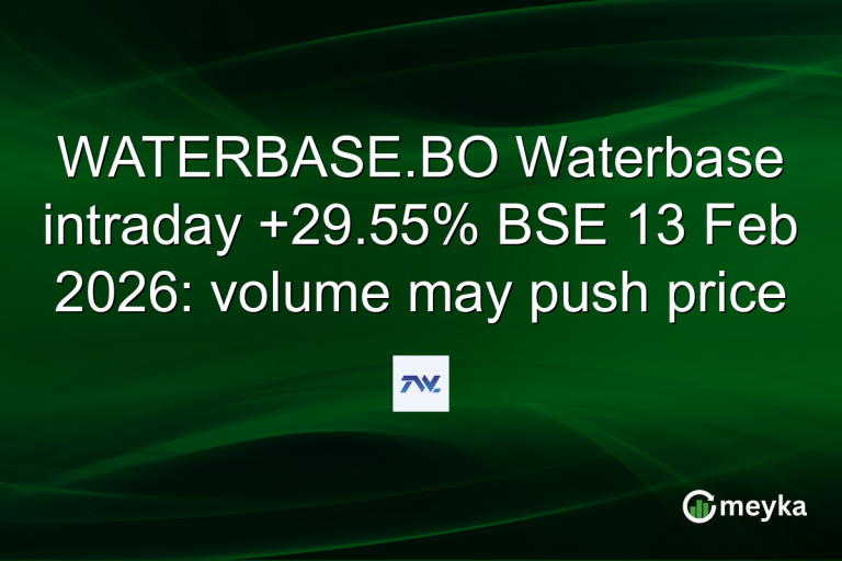 WATERBASE.BO Waterbase intraday +29.55% BSE 13 Feb 2026: volume may push price