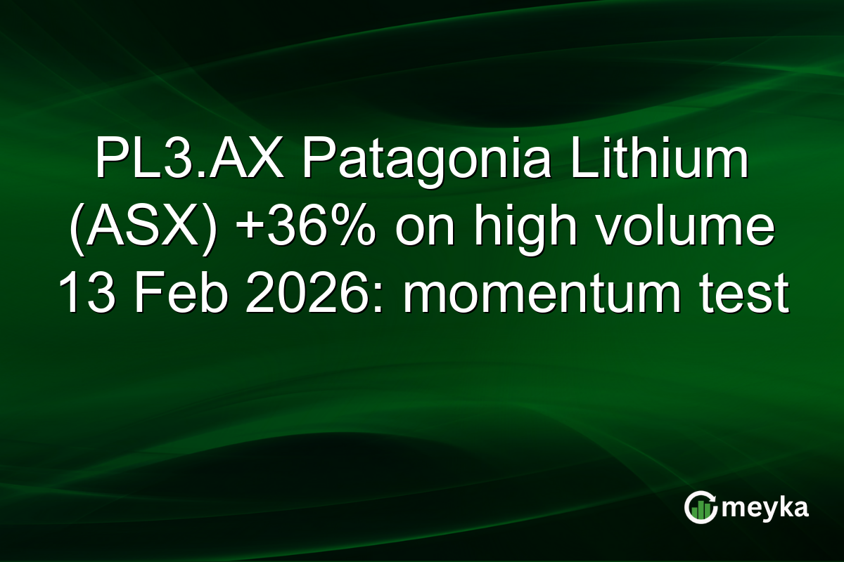 PL3.AX Patagonia Lithium (ASX) +36% on high volume 13 Feb 2026: momentum test