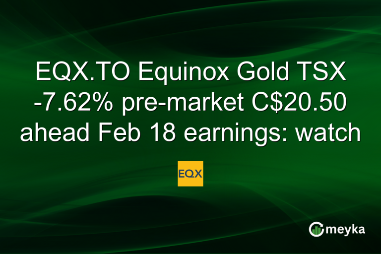 EQX.TO Equinox Gold TSX -7.62% pre-market C$20.50 ahead Feb 18 earnings: watch