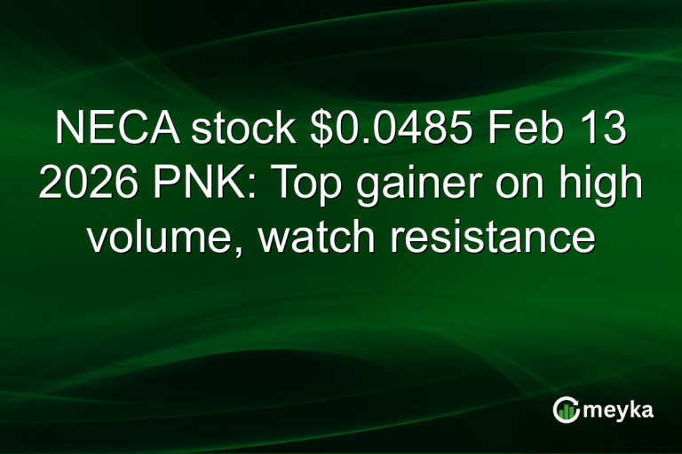 NECA stock $0.0485 Feb 13 2026 PNK: Top gainer on high volume, watch resistance