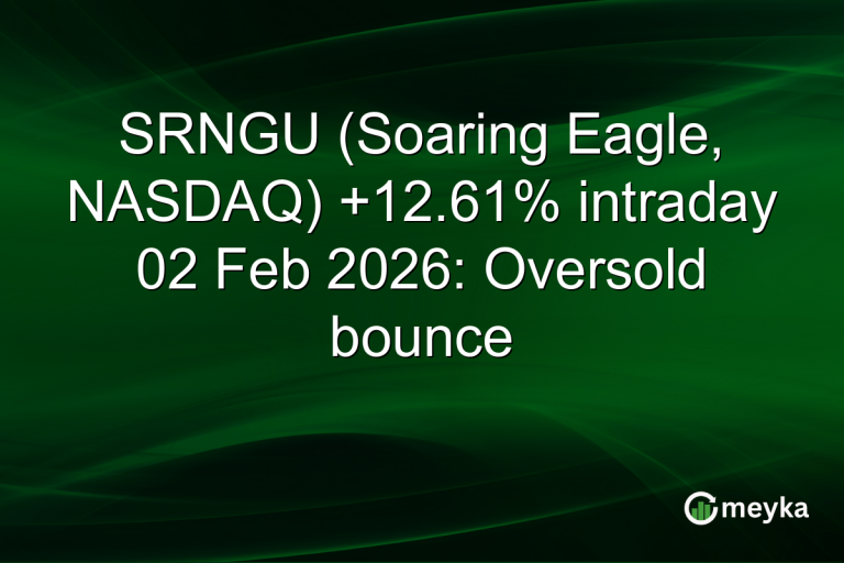SRNGU (Soaring Eagle, NASDAQ) +12.61% intraday 02 Feb 2026: Oversold bounce