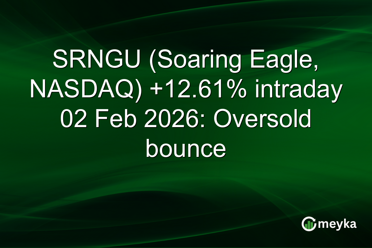 SRNGU (Soaring Eagle, NASDAQ) +12.61% intraday 02 Feb 2026: Oversold bounce