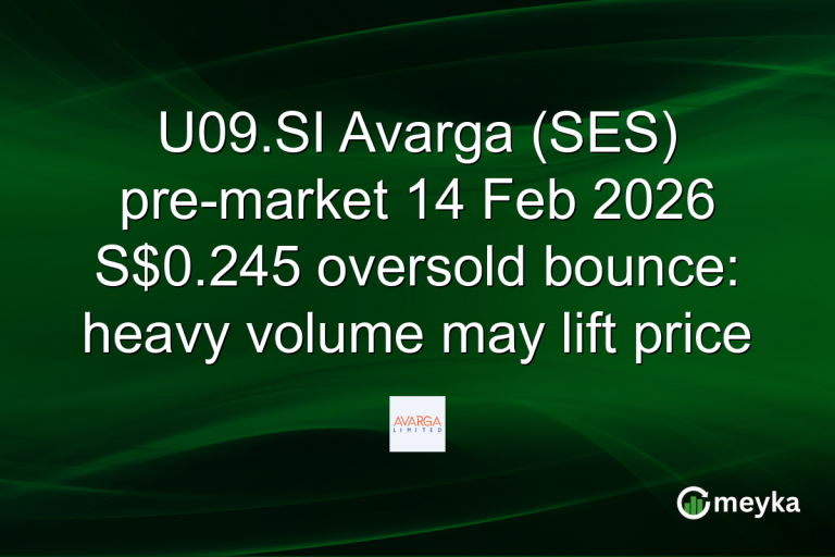 U09.SI Avarga (SES) pre-market 14 Feb 2026 S$0.245 oversold bounce: heavy volume may lift price