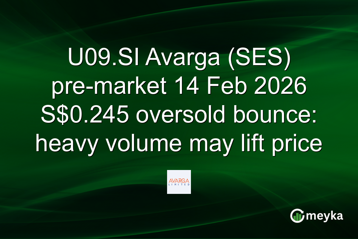 U09.SI Avarga (SES) pre-market 14 Feb 2026 S$0.245 oversold bounce: heavy volume may lift price