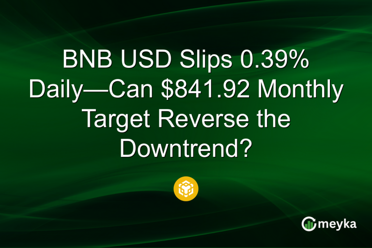 BNB USD Slips 0.39% Daily—Can $841.92 Monthly Target Reverse the Downtrend?