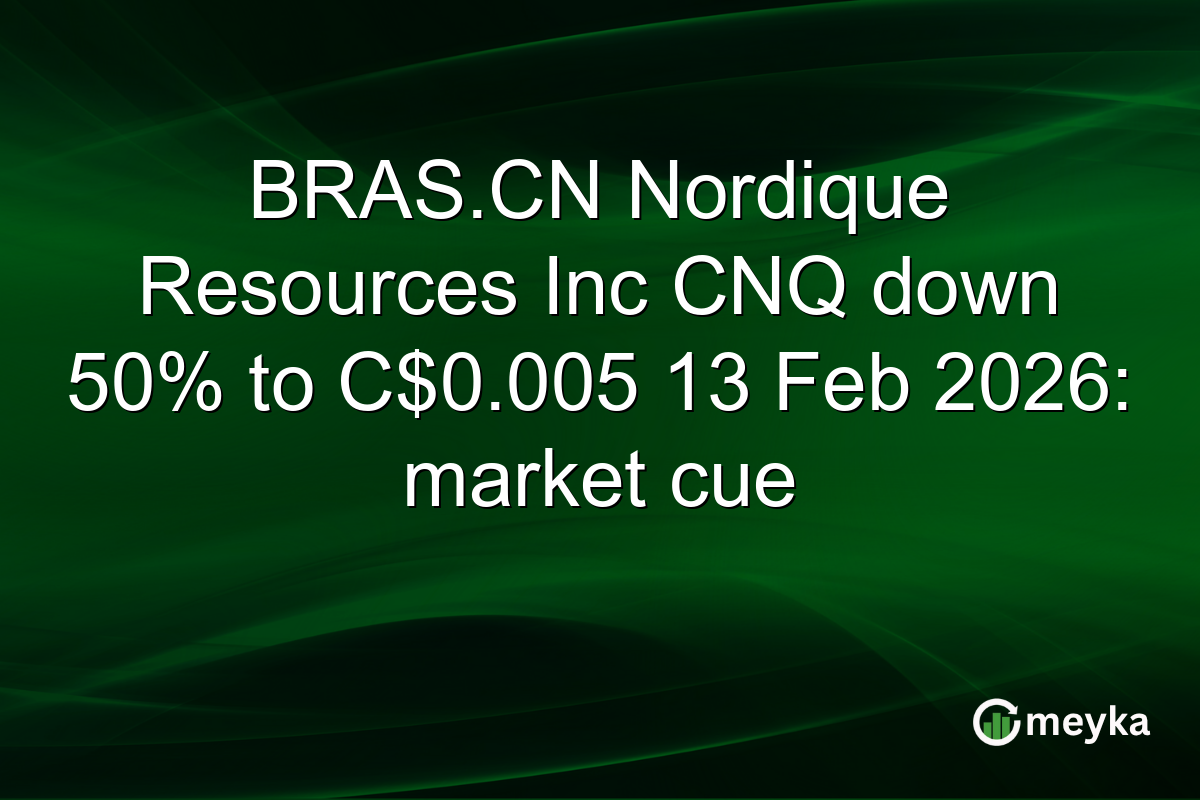 BRAS.CN Nordique Resources Inc CNQ down 50% to C$0.005 13 Feb 2026: market cue