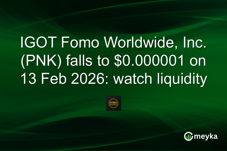 IGOT Fomo Worldwide, Inc. (PNK) falls to $0.000001 on 13 Feb 2026: watch liquidity