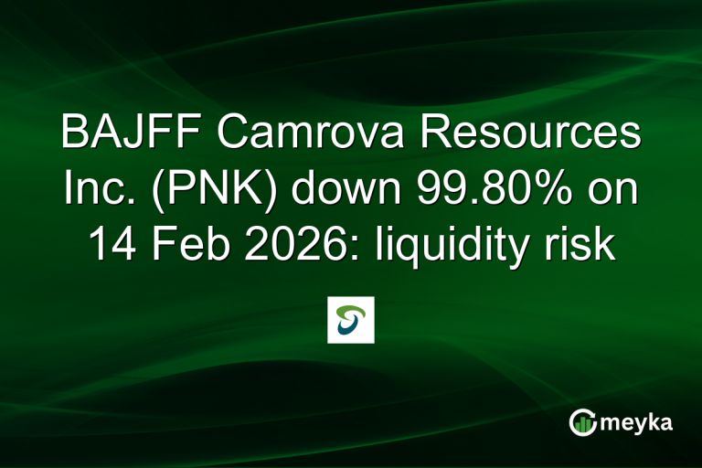 BAJFF Camrova Resources Inc. (PNK) down 99.80% on 14 Feb 2026: liquidity risk