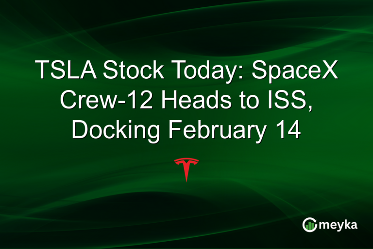 TSLA Stock Today: SpaceX Crew-12 Heads to ISS, Docking February 14