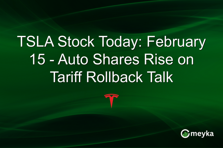 TSLA Stock Today: February 15 - Auto Shares Rise on Tariff Rollback Talk