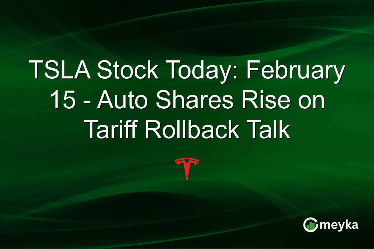 TSLA Stock Today: February 15 - Auto Shares Rise on Tariff Rollback Talk