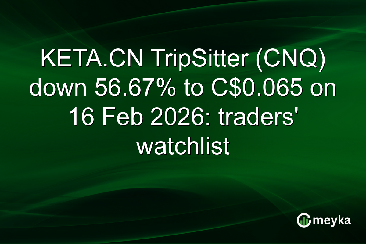 KETA.CN TripSitter (CNQ) down 56.67% to C$0.065 on 16 Feb 2026: traders' watchlist