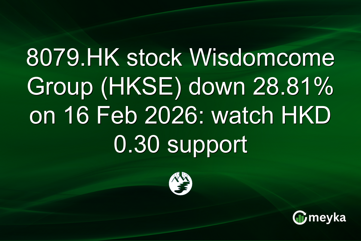 8079.HK stock Wisdomcome Group (HKSE) down 28.81% on 16 Feb 2026: watch HKD 0.30 support