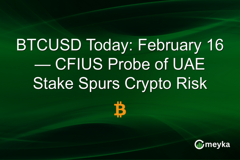 BTCUSD Today: February 16 — CFIUS Probe of UAE Stake Spurs Crypto Risk