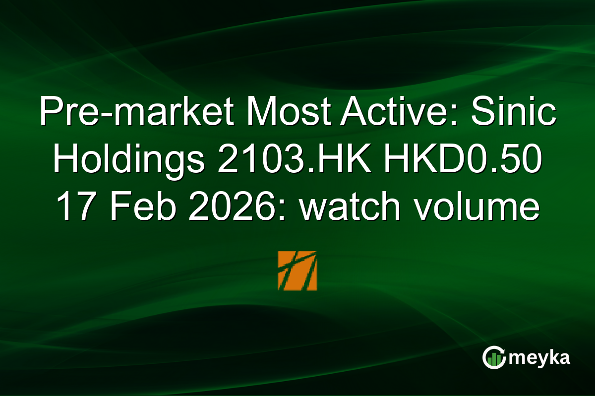 Pre-market Most Active: Sinic Holdings 2103.HK HKD0.50 17 Feb 2026: watch volume