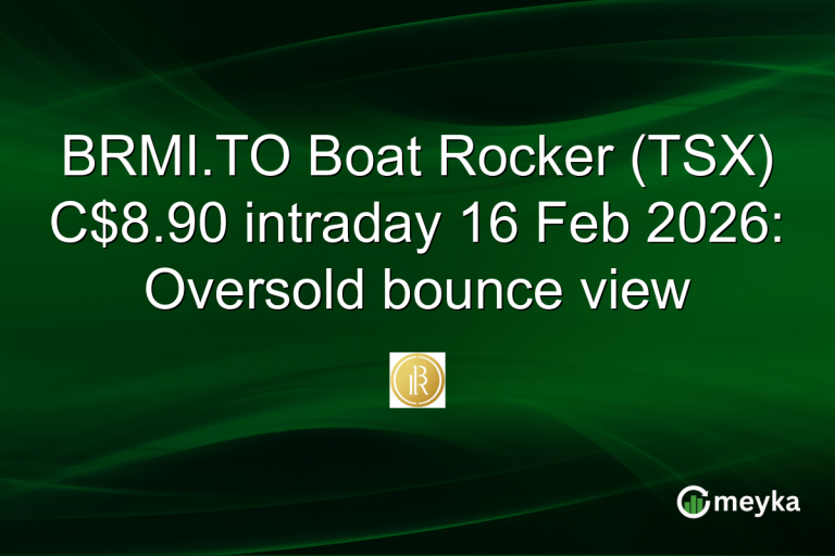 BRMI.TO Boat Rocker (TSX) C$8.90 intraday 16 Feb 2026: Oversold bounce view