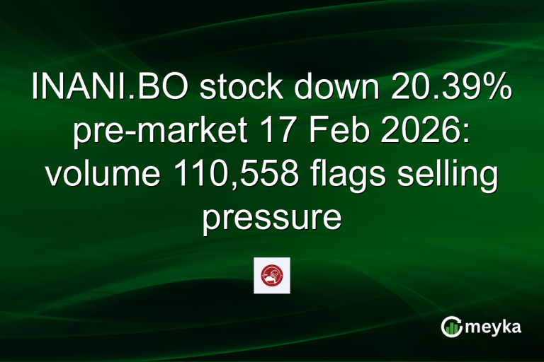 INANI.BO stock down 20.39% pre-market 17 Feb 2026: volume 110,558 flags selling pressure